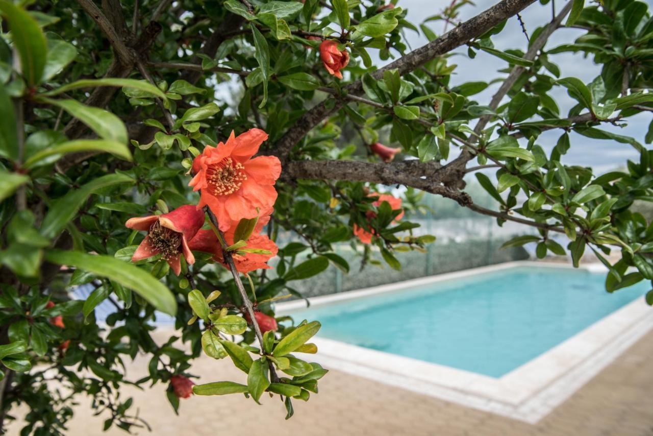 Villa Lara Polignano a Mare Zewnętrze zdjęcie